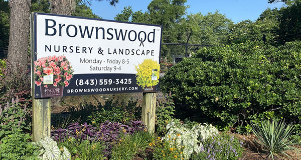 Brownswood Nursery Largest Retail And, New Roots Landscaping And Plant Nursery